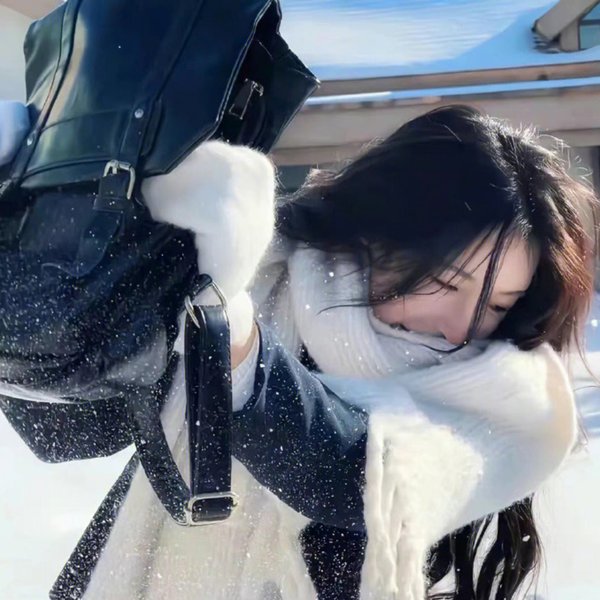 武林秘案之美人图鉴