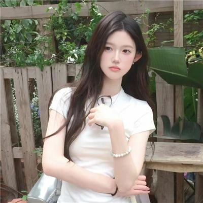 终极大盗